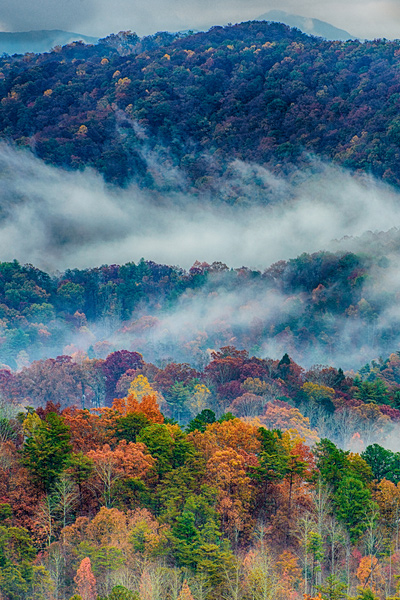 Great Smoky Mountains National Park NC and TN with image of blue and gray mountains filled with fog and white clouds over red, green, and orange trees