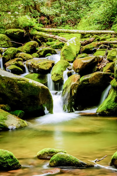 Roaring Fork Smoky Mountains with image of little waterfall from stream with green moss and brown rocks