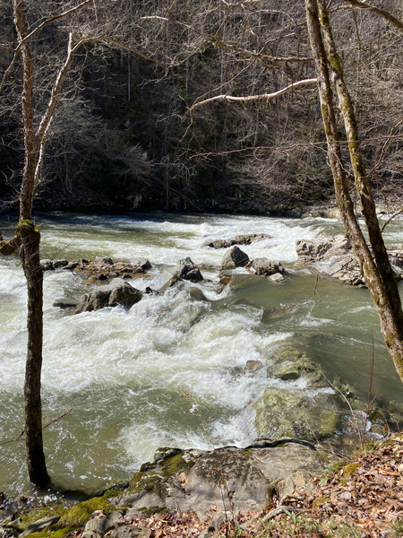 Big Laurel Creek in NC Whitewater Rapids along packed dirt trail surrounded by bare trees