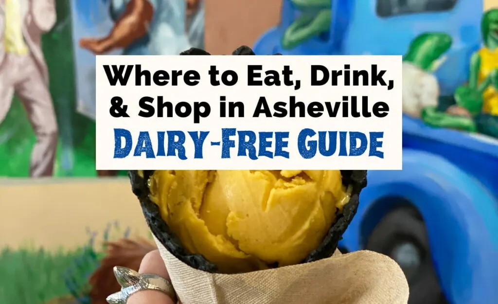 Dairy Free Restaurants in Asheville NC featured photo with image of white hand wearing a silver cat ring and holding up a vegan black ice cream cone with vegan orange ice cream and animal mural blurred in the background