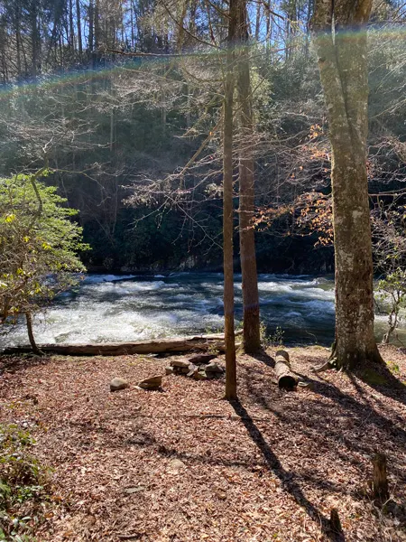 Laurel River Trail and Big Laurel Creek in NC with image of cleared dirt area off of trail with log to sit on and place to start a campfire next to water