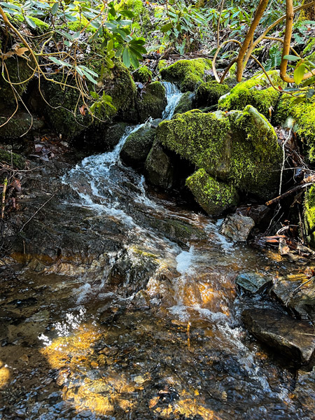 Laurel River Trail Hot Springs, North Carolina with image of cascading stream of water through rocks and moss