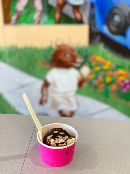 The Hop Vegan Ice Cream  In Asheville with spoon sticking out of a pink cup with a colorful animal mural blurred in the background