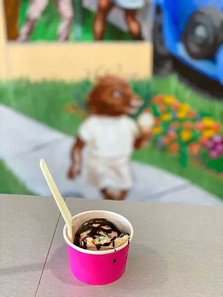 The Hop Vegan Ice Cream  In Asheville with spoon sticking out of a pink cup with a colorful animal mural blurred in the background
