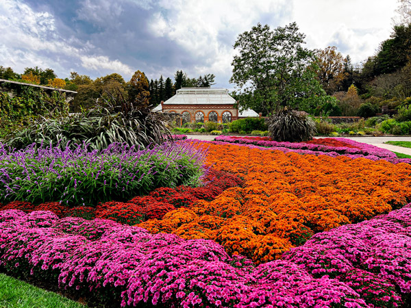 Orange, pink, and purple Biltmore flowers in October in the Walled Garden with Biltmore Conservatory in the background