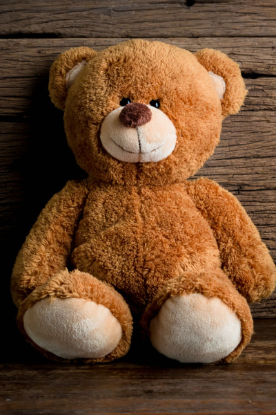 Brown Teddy Bear with tan snout and tan bottom of feet
