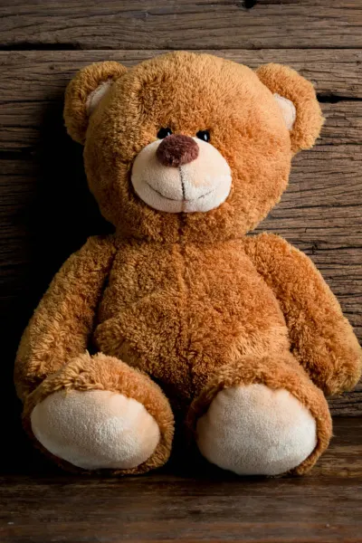 Brown Teddy Bear with tan snout and tan bottom of feet
