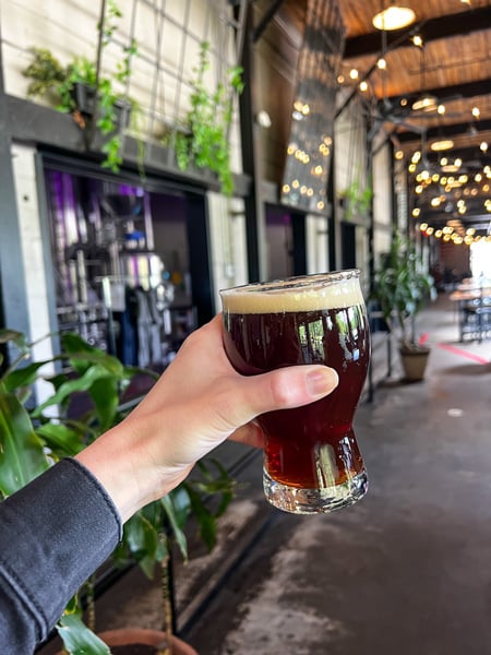 Hillman Beer in Old Fort North Carolina Brewery with white hand holding up half pour of dark brown ale in taproom with Tuscan lighting and green plants