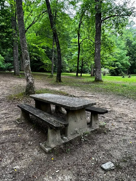 Old Fort Picnic Area with concrete picnic table surrounded by green trees