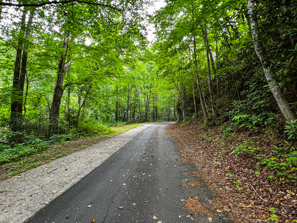 Point Lookout Trail Old Fort North Carolina paved pathway with shoulder, leaves on ground, and green trees surrounding it