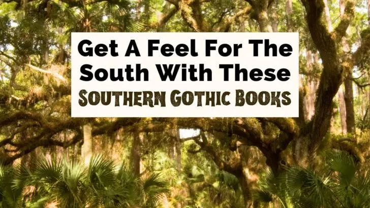 Get a feel for the South with these Southern Gothic Books featured photo with old oak tree over a road