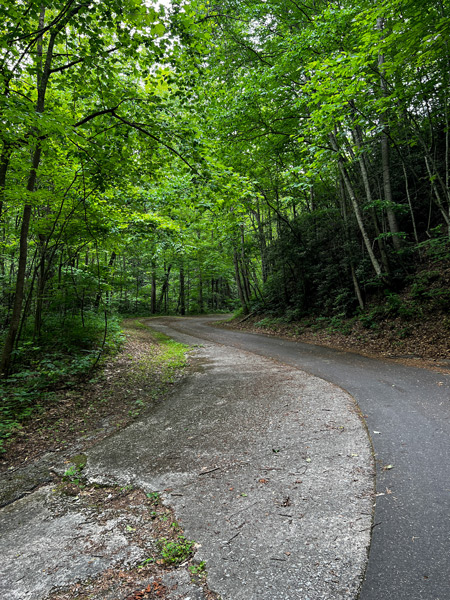 Switchback on Point Lookout Trail in Old Fort NC which paved single track trail with gray shoulder surrounded by green trees