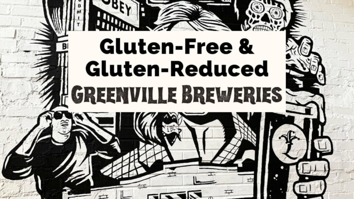 Gluten Reduced and Gluten Free Beer in Greenville, SC featured image with They Live Mural with man wearing glasses and signs that say things like Obey along with TV, storefront, and alien face