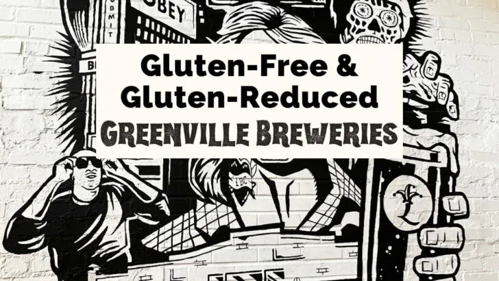 Gluten Reduced and Gluten Free Beer in Greenville, SC featured image with They Live Mural with man wearing glasses and signs that say things like Obey along with TV, storefront, and alien face