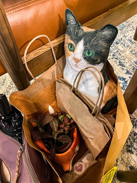 LOFT Asheville NC Shopping bag filled with cat pillow, fox planter, and Fittonia plant