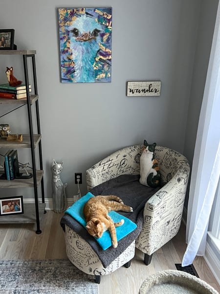 LOFT Store Asheville NC Cat Pillow on chair with sleeping orange cat and ostrich painting above