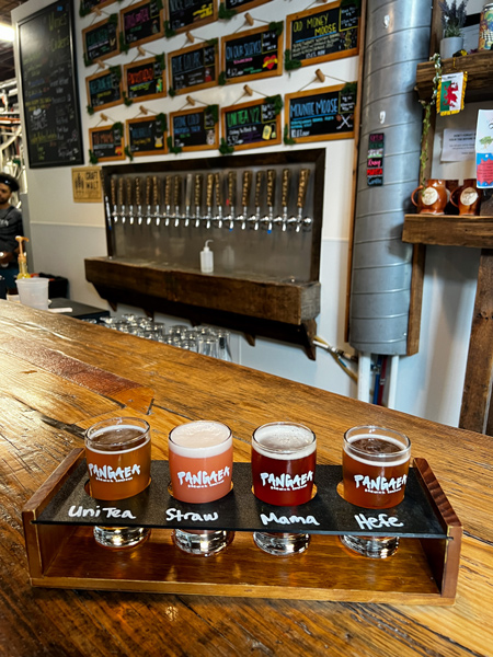 Pangaea Brewing Company Greenville SC Beer Flight with four beers ranging in colors from brown to pink and orange on bar top with taps in background