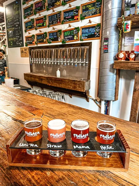 Pangaea Brewing Company in Greenville SC along the Swamp Rabbit Trail with Flight of four beers ranging in colors from brown to pink and orange on bar top with taps in background