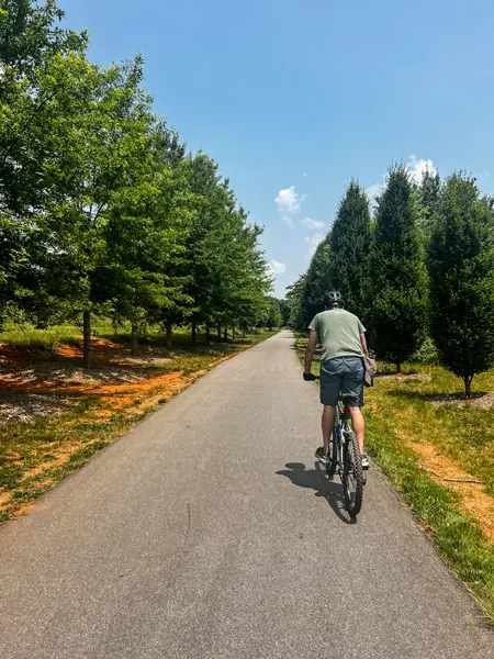 Swamp Rabbit Bike Trail in Greenville SC with mountain biker with helmet, blue pants, and green t-shirt on paved asphalt in sun surrounded by trees