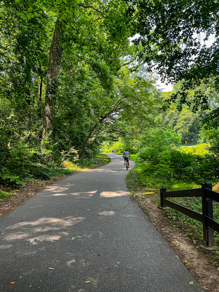 Swamp Rabbit Trail near Greenville Zoo with mountain biker in distance on paved asphalt trail with fence and green trees around it
