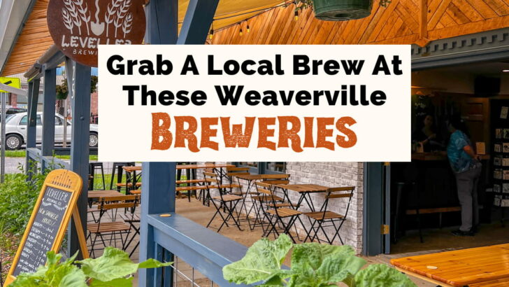 Grab a local brew at these Weaverville Breweries featured image with blue railing outdoor covered patio with chairs, tables, and picnic tables along with business sign and green bushes