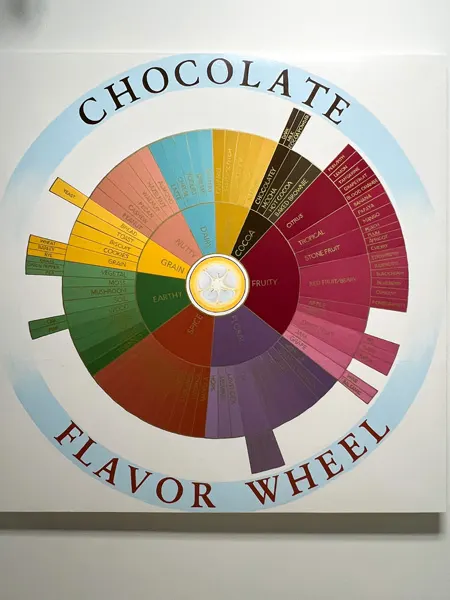 French Broad Chocolate Factory in Asheville, NC Chocolate Wheel on wall which has different colors for flavors