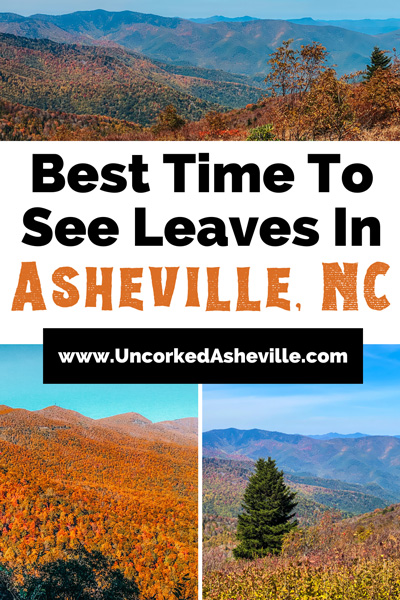 Asheville Fall Foliage Pinterest pin with three images of leaves changing colors - red and orange - along the Blue Ridge Parkway in the North Carolina mountains along with text that says "best time to see leaves in Asheville, NC" along with URL of website