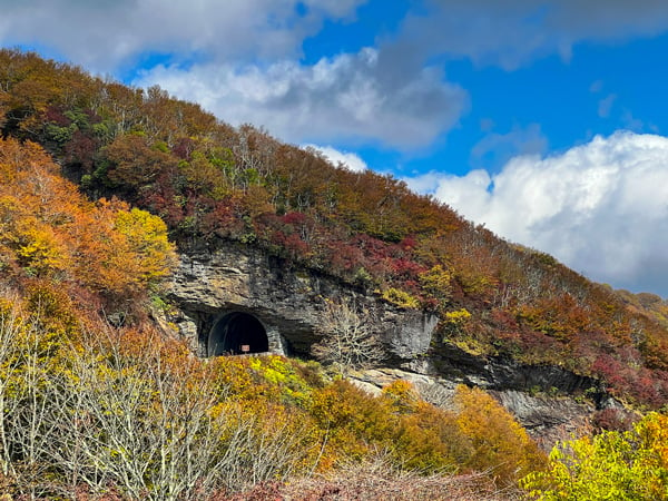 Blue Ridge Parkway Tunnel at Craggy Gardens Visitor Center with fall foliage trees all around it