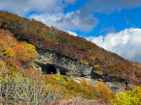 Blue Ridge Parkway Tunnel at Craggy Gardens Visitor Center with fall foliage trees all around it