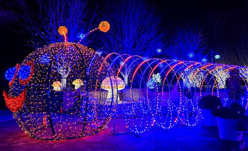 Walk-through light display of a lit up caterpillar with red and blue coloring at The NC Arboretum's Winter Lights in Asheville in December