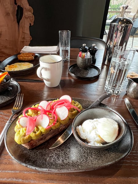 Avocado toast with poached eggs on the side on plate on table at Between the Trees at the Grand Bohemian Lodge in Greenville, SC