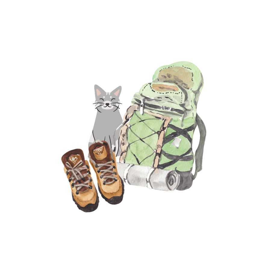 Graphic of cat, backpack, and boots