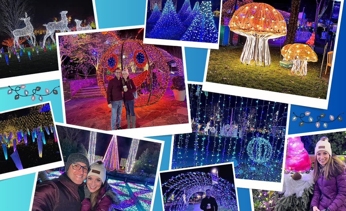 NC Arboretum Winter Lights Photo Collage