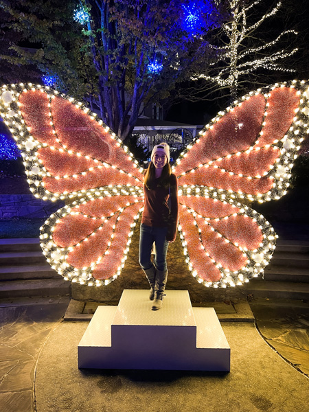 Butterfly light display