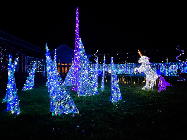 lighted unicorn and trees display