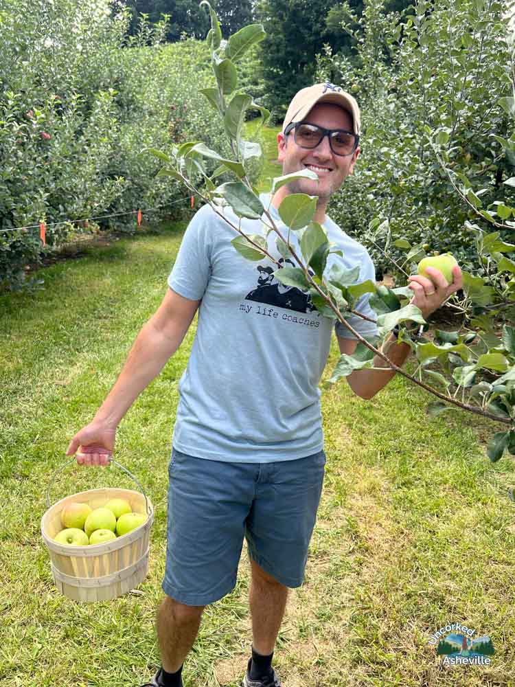 Jeter Mountain Farm Tom apple picking Hendersonville NC