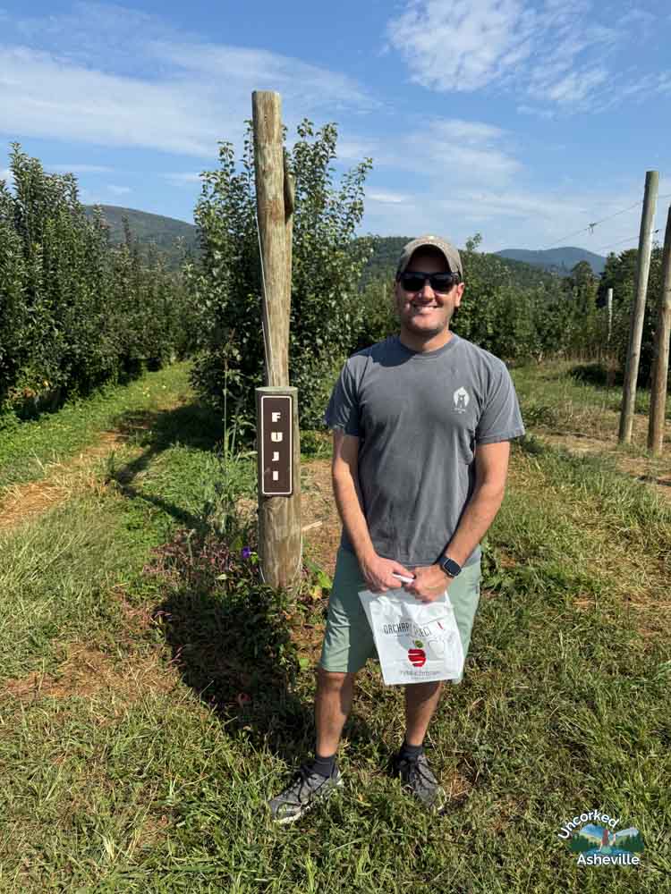 Justus Orchard Tom apple picking Hendersonville NC