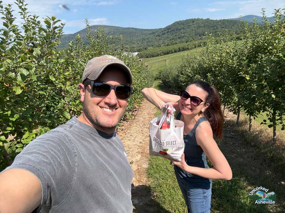 Justus Orchard Apple Cannon Hendersonville NC