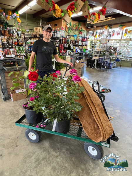 Tom Shopping At Reems Creek Nursery