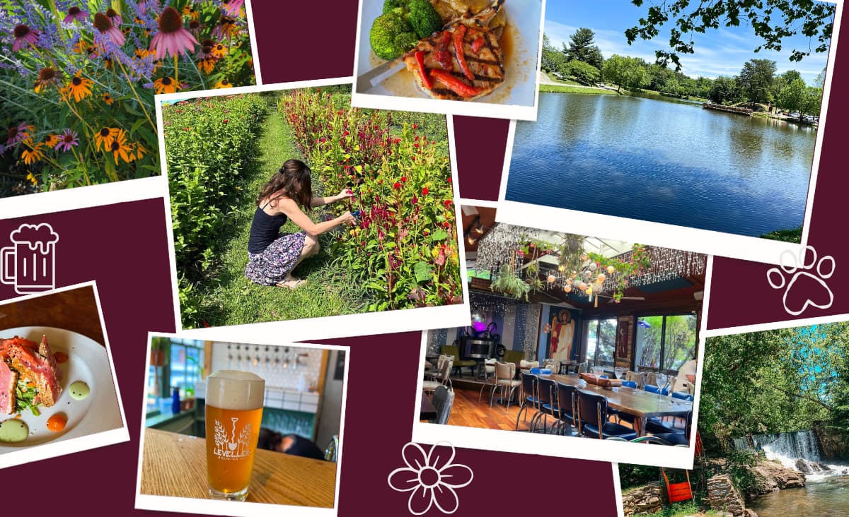 Things to do Weaverville collage