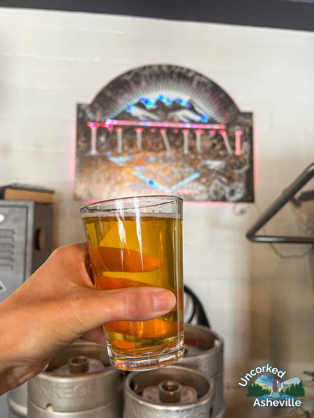 Eluvium Brewing Co. Craft Beer