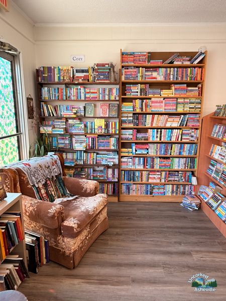 Armchair at As The Page Turns Travelers Rest SC