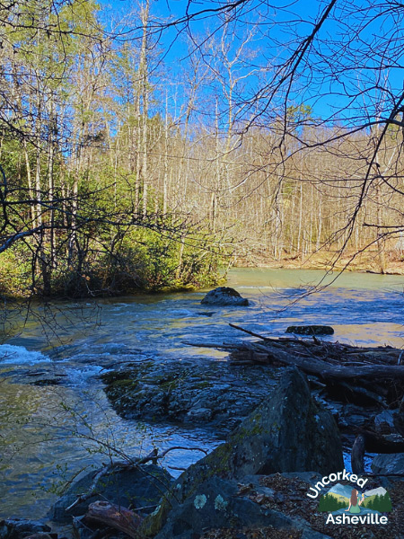 Laurel River Trail River Marshall NC