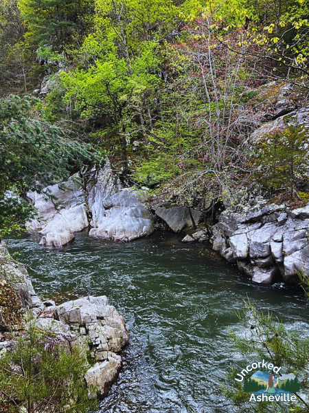 Laurel River Trail Water Marshall NC