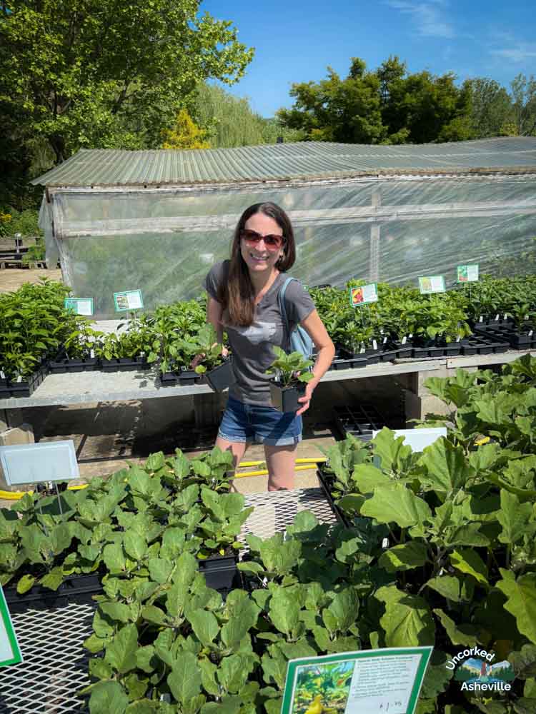 Christine at Painters Old Fort NC Plant Shopping