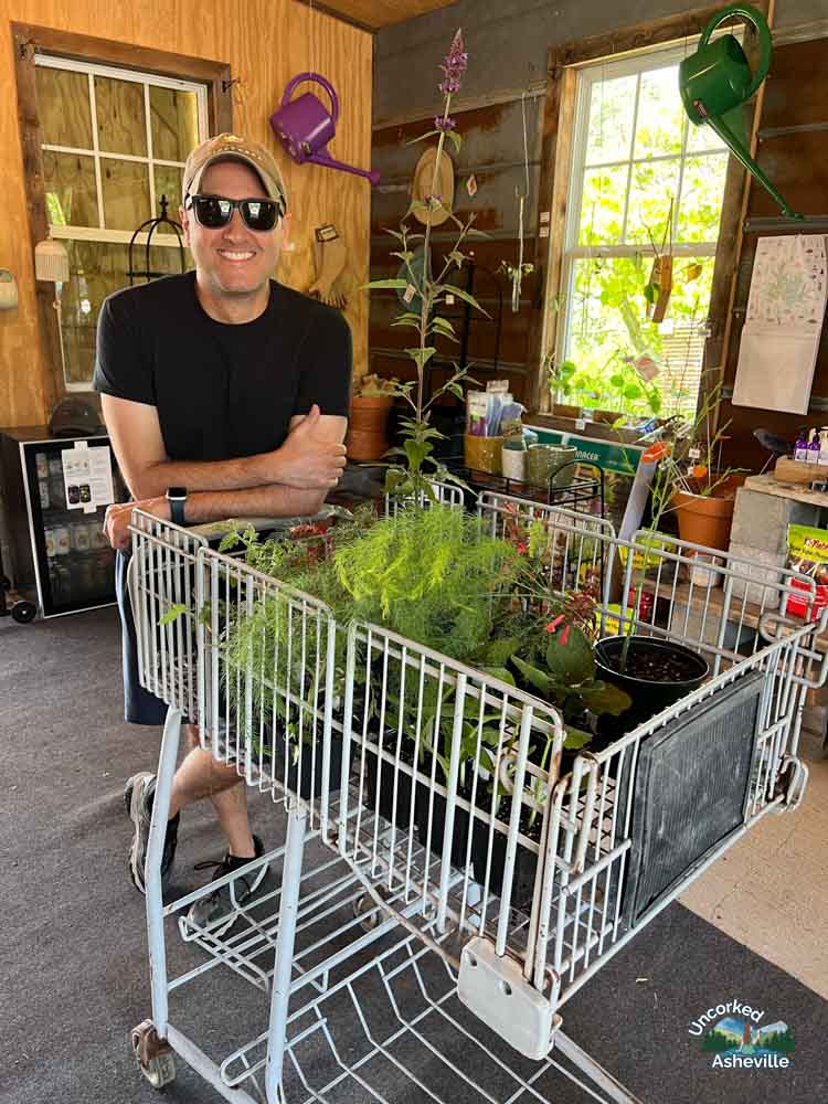 Tom shopping at Painters Greenhouse Old Fort NC
