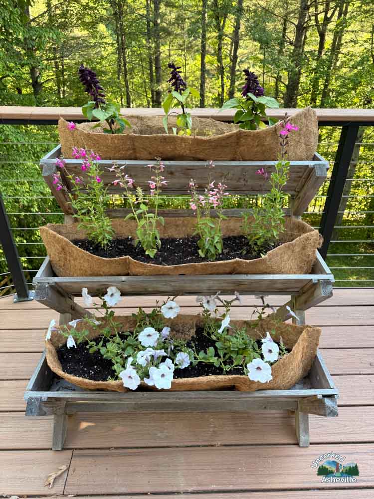 Vertical Tiered Raised Garden Planter Asheville deck