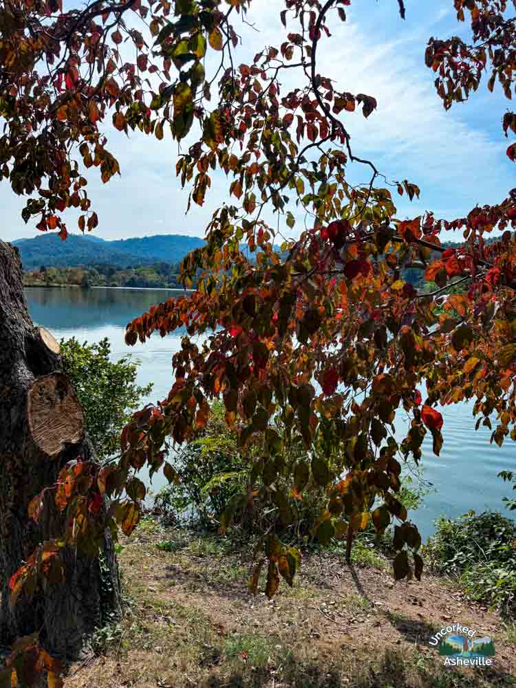 Beaver Lake Perimeter Trail Asheville NC fall leaves