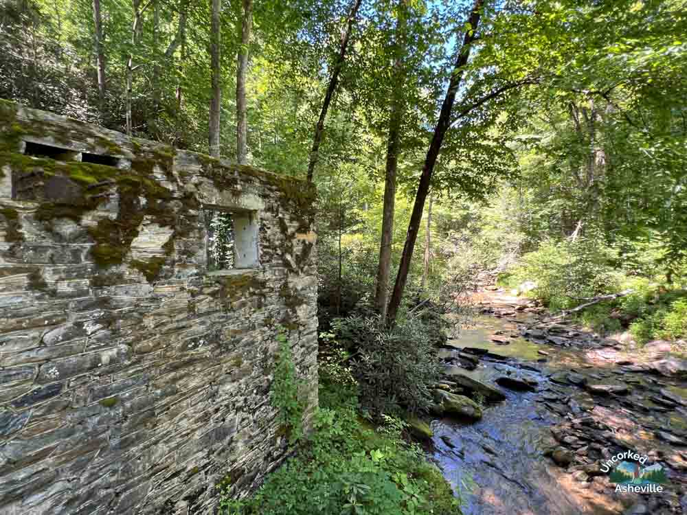 Catawba Falls Trail Old Fort NC