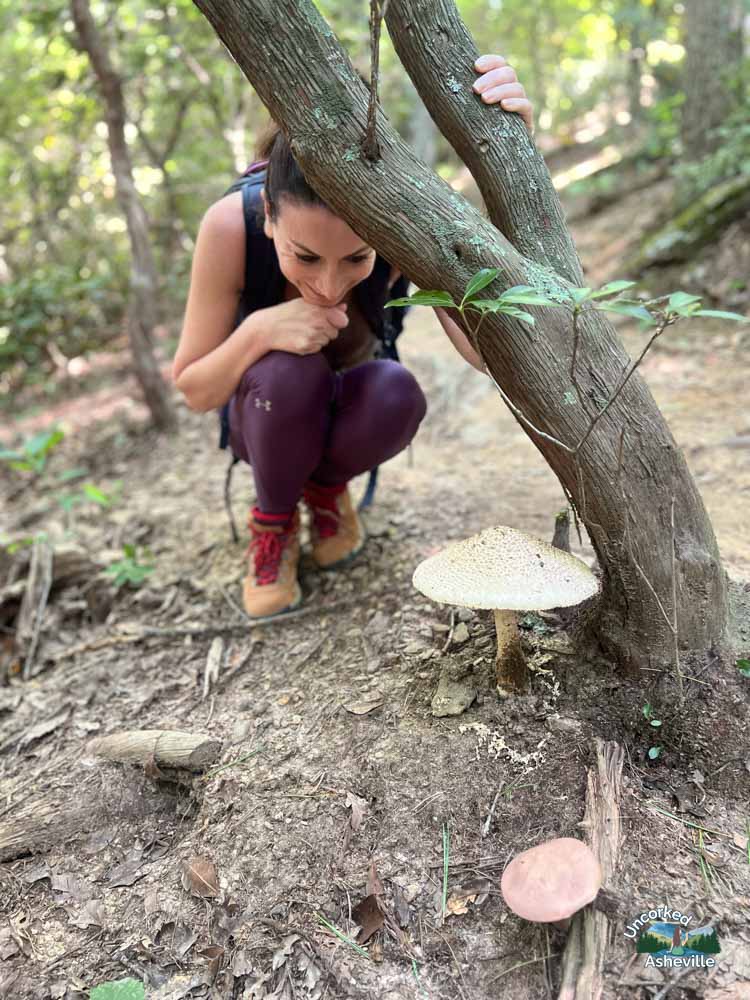 Christine on Masters Park Haw Creek hike Asheville NCChristine Mushroom Masters Park Haw Creek hike Asheville NC